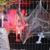 31.10.2015 Schelloween Bilder von Mosche